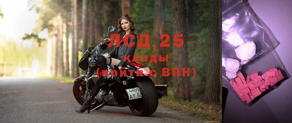 сатива Магадан