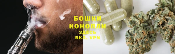 прущие грибы Липки