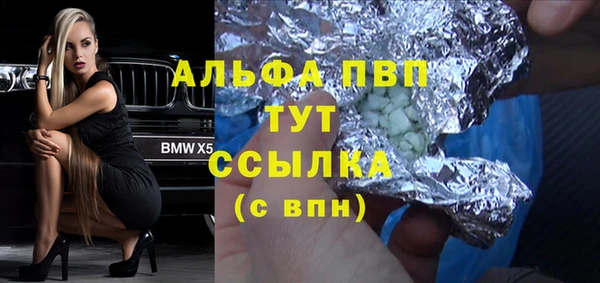 прущие грибы Липки