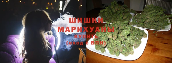 прущие грибы Липки
