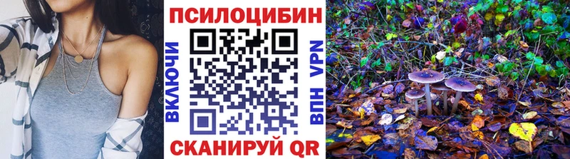 Галлюциногенные грибы Magic Shrooms  Купить где  Волосово 